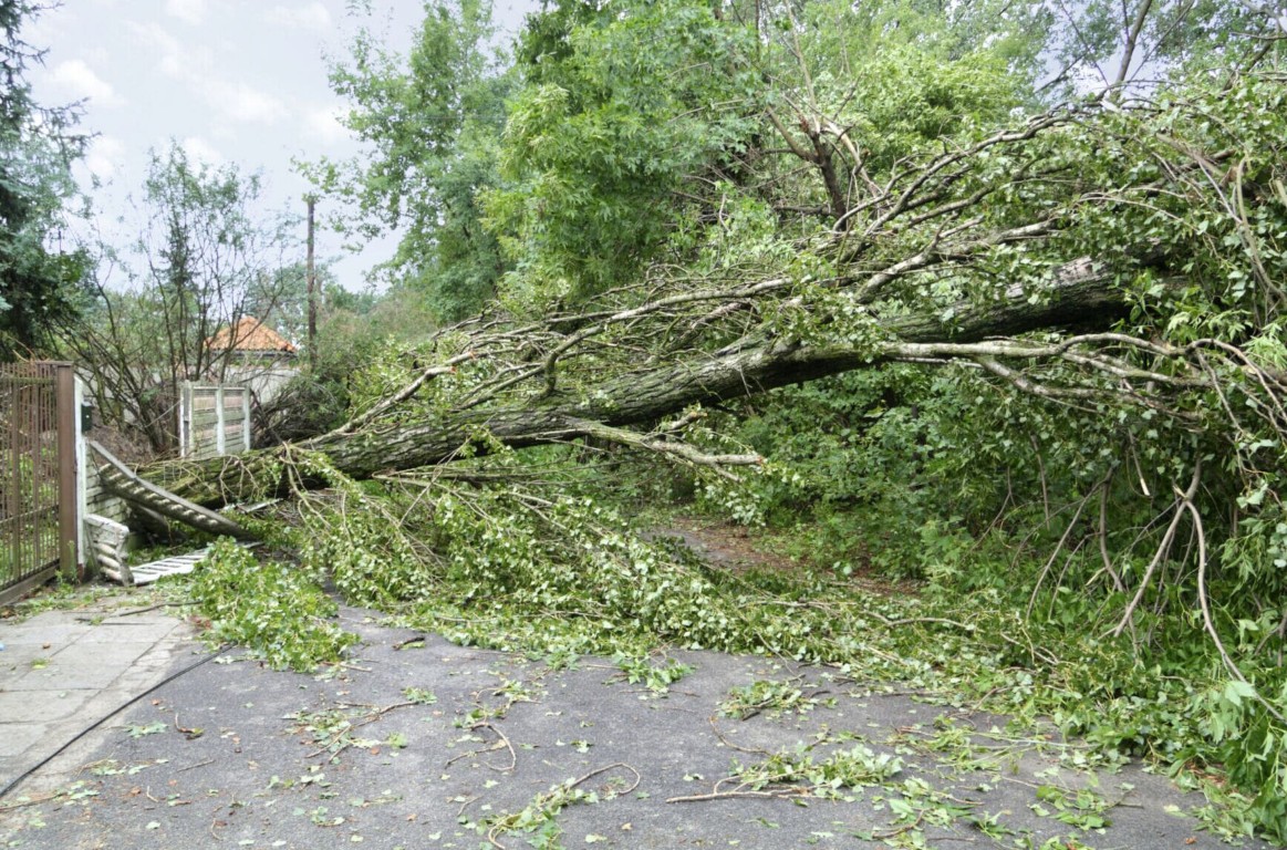 Storm cleanup and debris removal in Porterville, CA