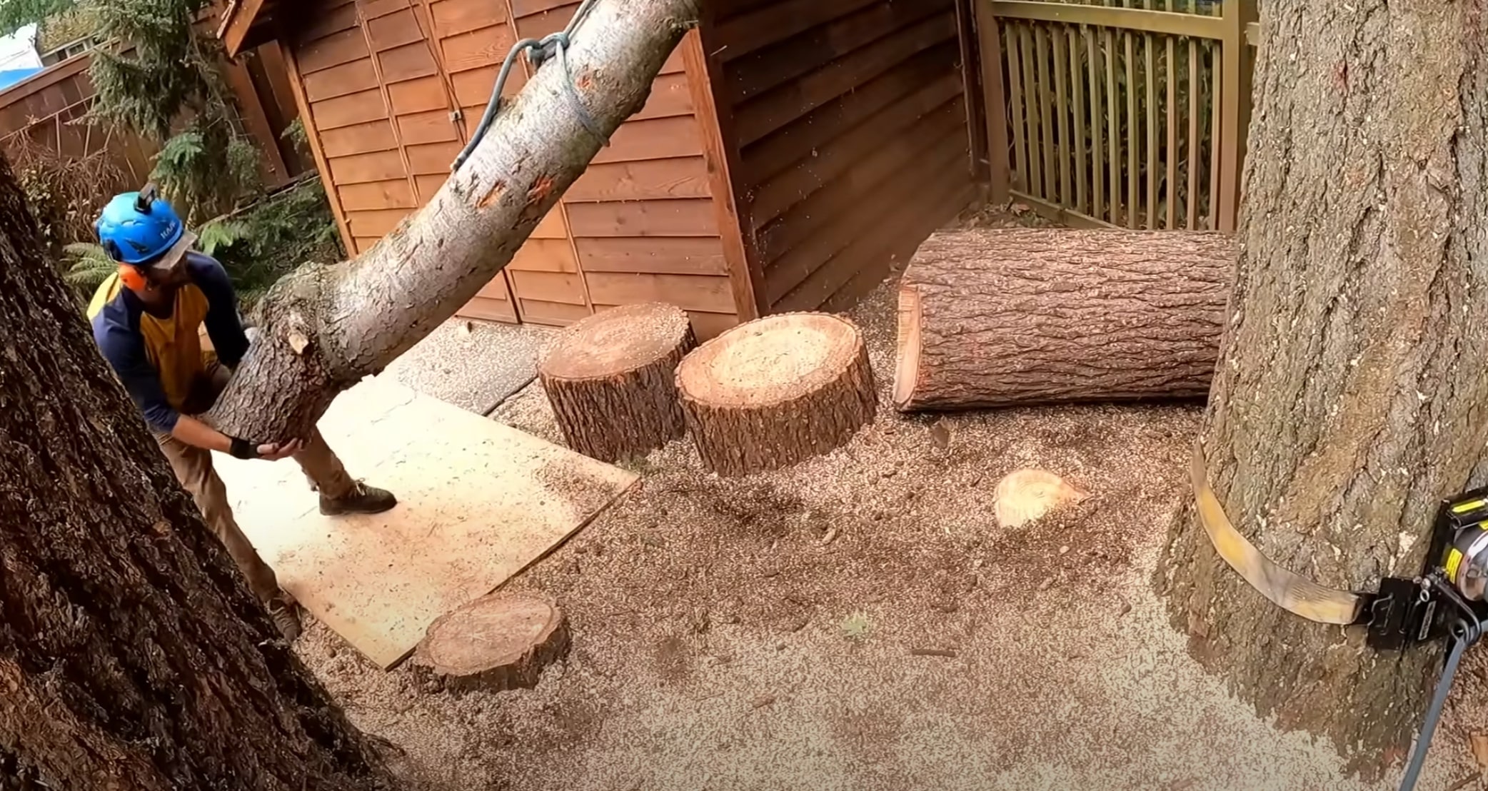 Land and lot clearing services in Porterville, CA